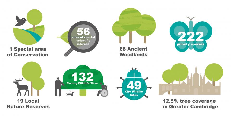 Graphic about the biodiversity and green spaces theme